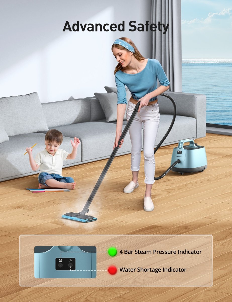 canister steam cleaner ca019